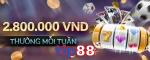 tip88