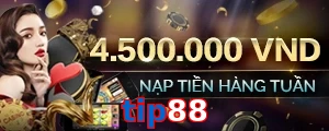 tip88
