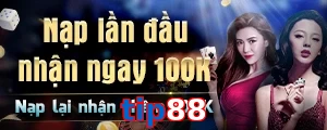tip88