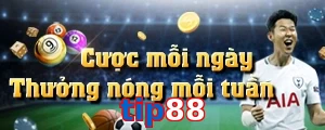 tip88